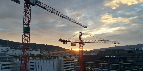 Sunset Crane Photography Going Viral